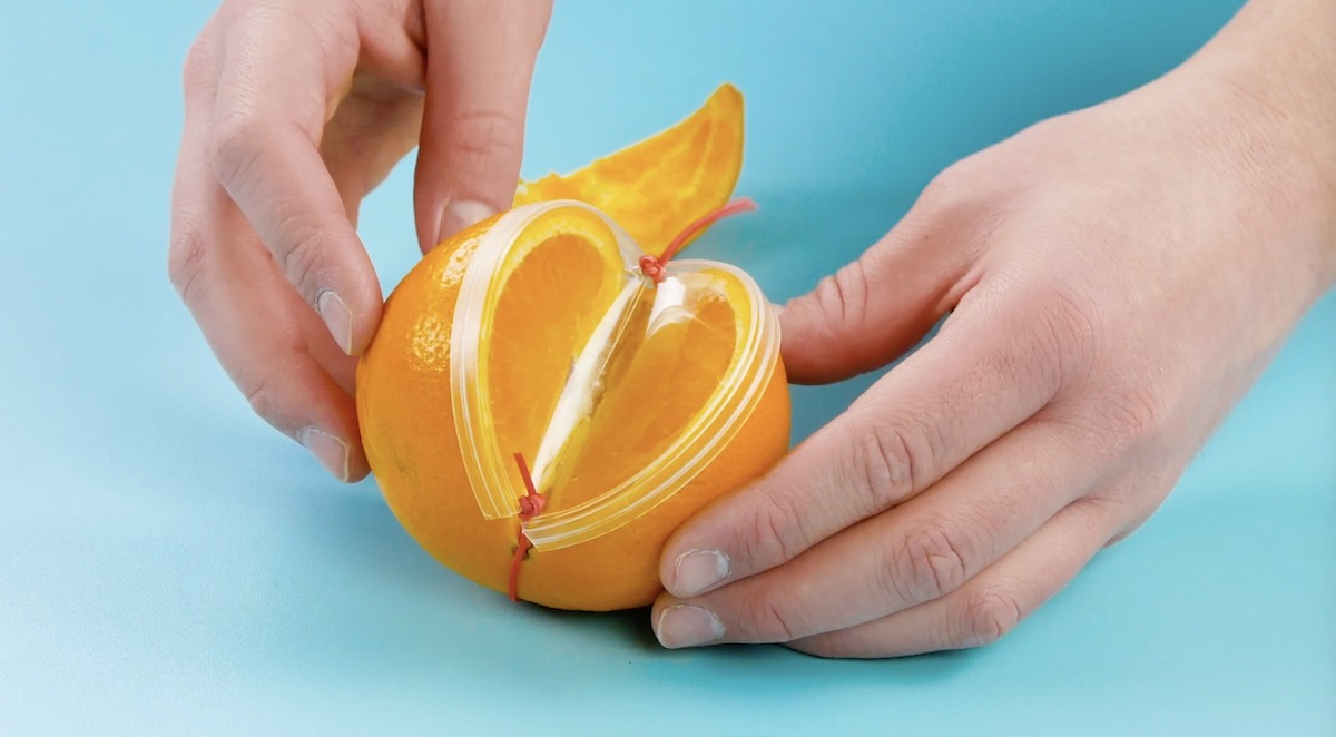 Mit einem Gummiband kannst du das Ganze dann an der Frucht befestigen