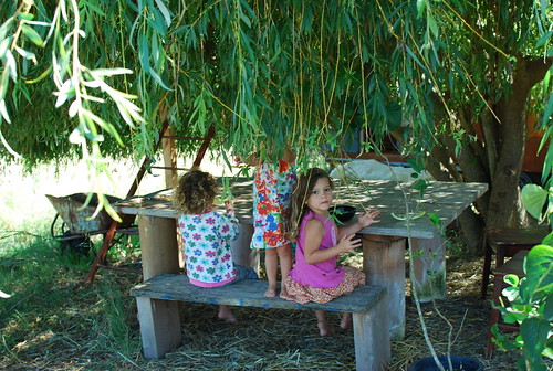 eating some melon under the weeping willow tree's shadow