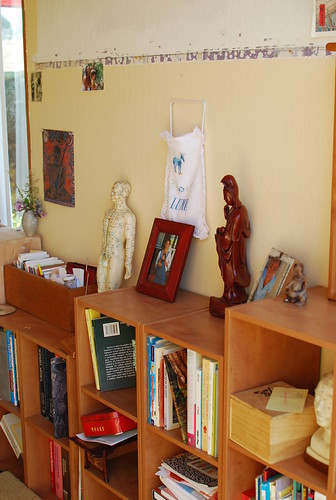 detail of the shelves iii
