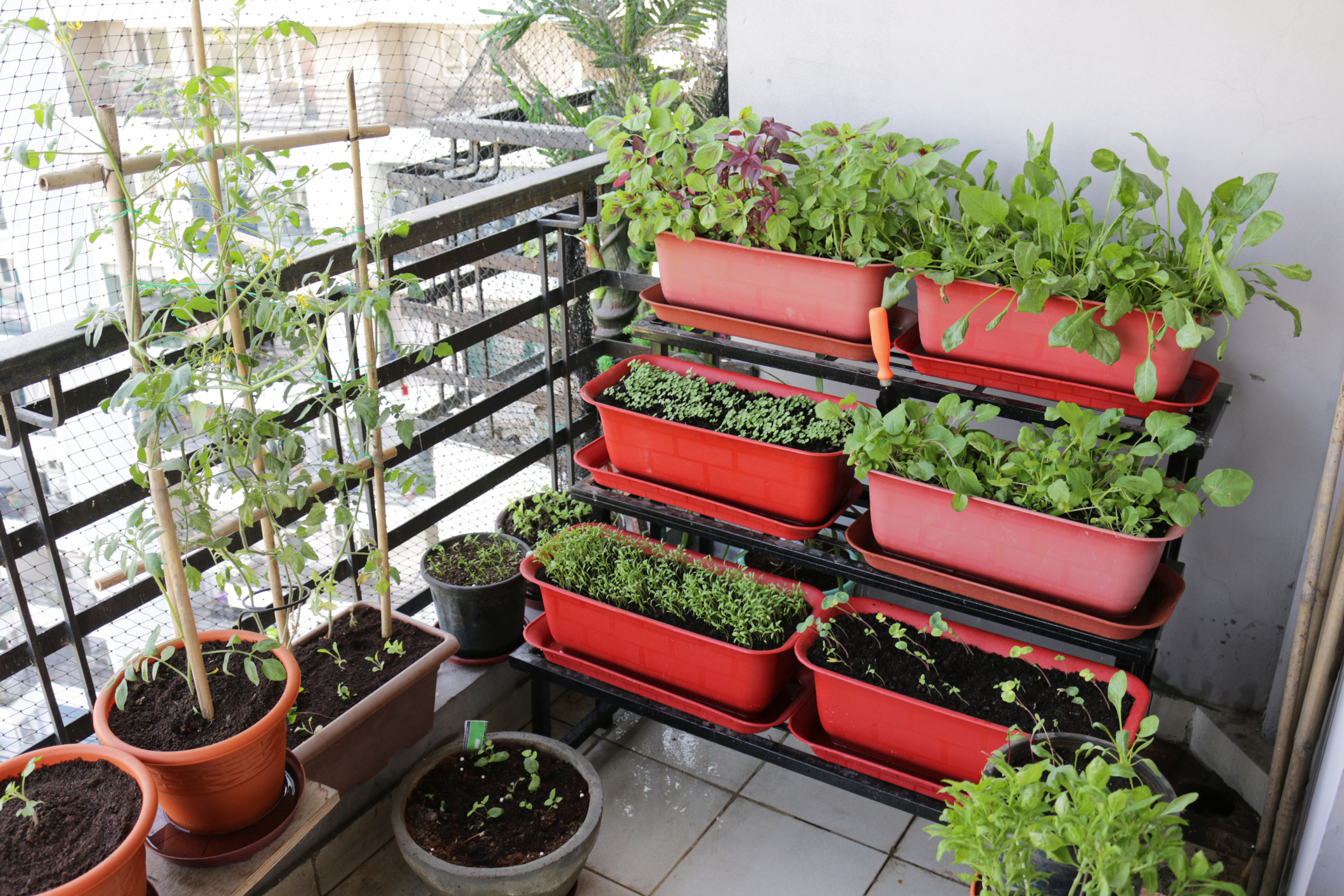 Balkon mit verschiedenen Blumentöpfen