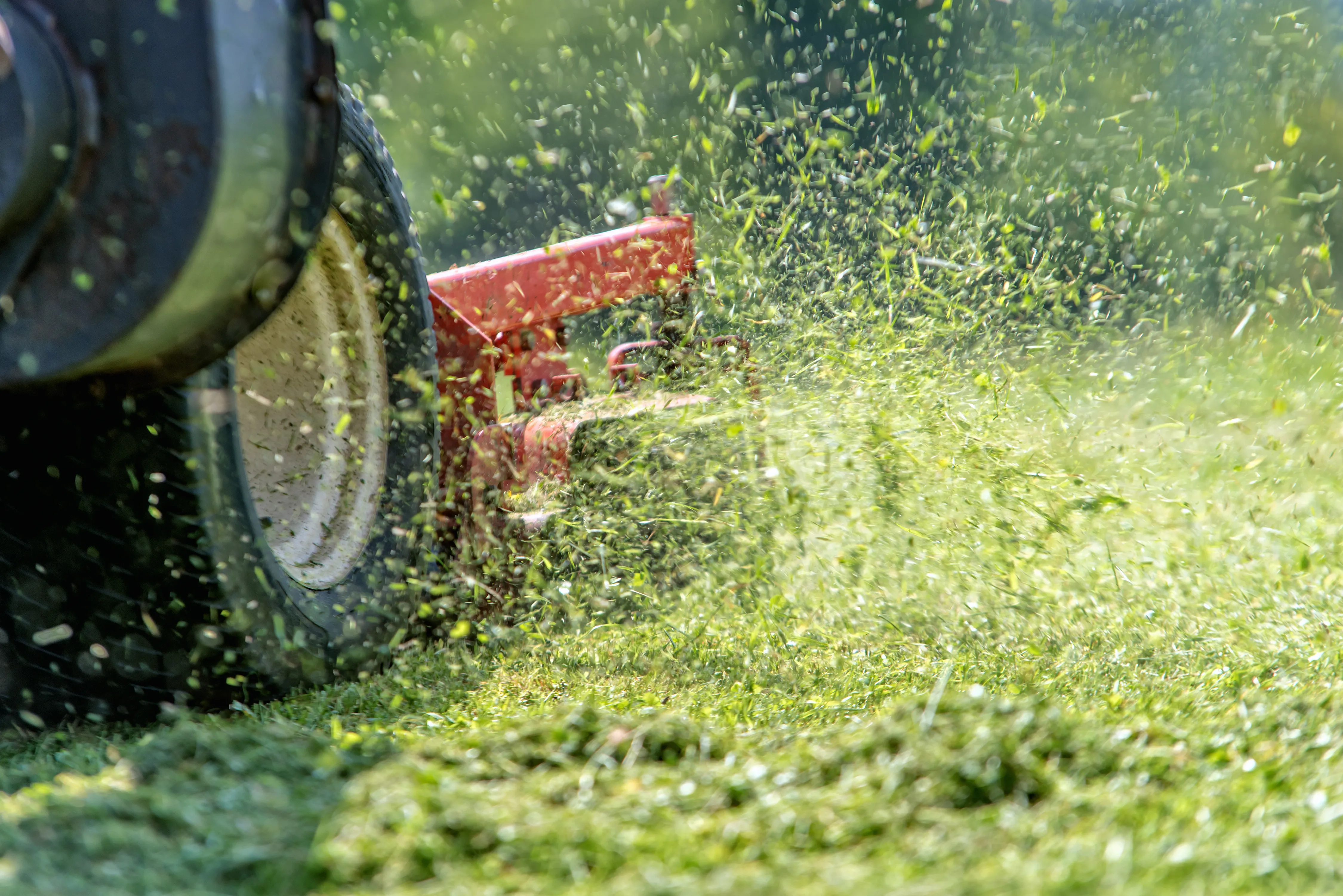 Großer Rasenmäher wirbelt Gras auf.