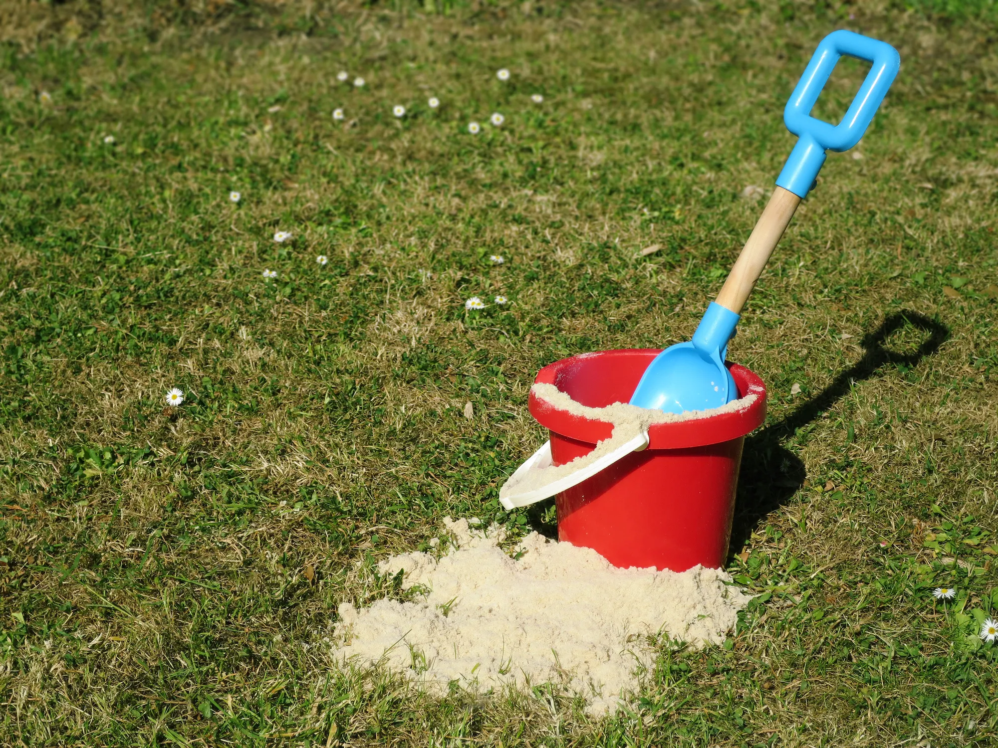 Ein roter Eimer mit Sand steht auf dem Rasen. Aus diesem Grund solltest du deinen Rasen sanden.