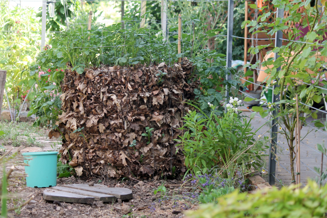 Ein Kartoffelturm in einem Garten. Mit dieser Anbaumethode kannst du eine Menge Platz sparen. AuÃŸerdem kannst du den Kartoffelturm selber bauen.