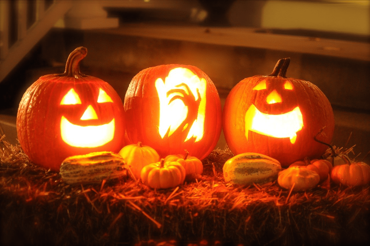 KÃ¼rbis verarbeiten: Ideen fÃ¼r KÃ¼rbiskerne und KÃ¼rbisfleisch
Warum die Reste des HalloweenkÃ¼rbisses zu schade fÃ¼r den MÃ¼ll sind.