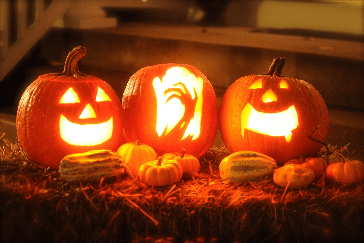 Kürbis verarbeiten: Ideen für Kürbiskerne und Kürbisfleisch
Warum die Reste des Halloweenkürbisses zu schade für den Müll sind.