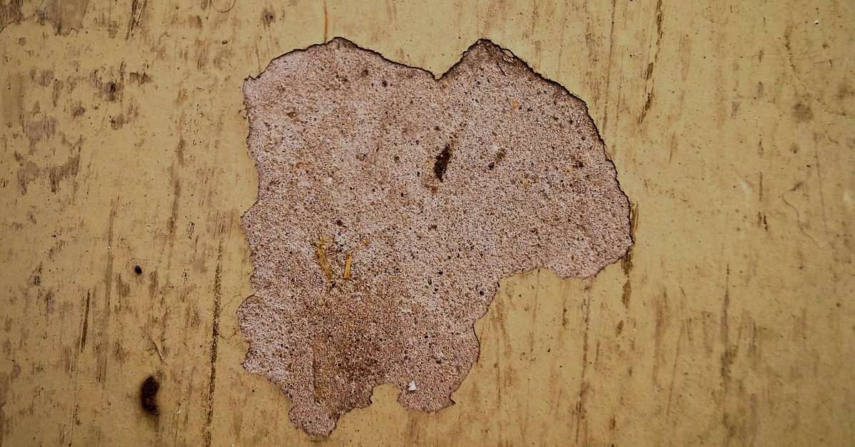 Blick auf ein Stück Wand, von der an einer Stelle die Farbe abgeblättert ist und der Putz zum Vorschein kommt.