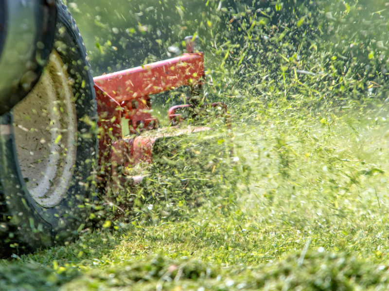 Garten: Warum frischer Rasenduft ein Alarmsignal ist