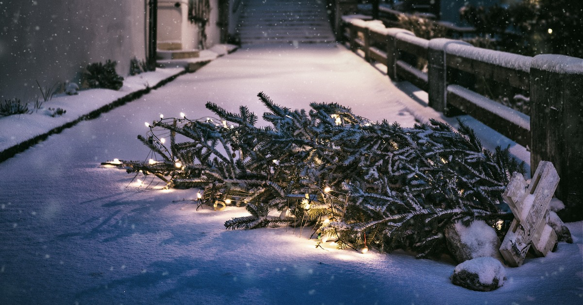 Weihnachtsbaum mit Lichterkette und StÃ¤nder liegt auf einer verschneiten StraÃŸe