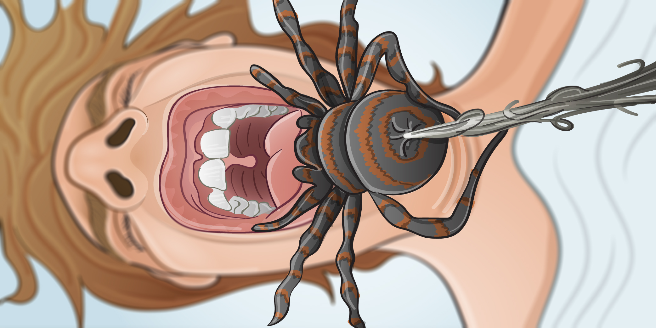 Mythos: Spinnen in der Nacht verschlucken