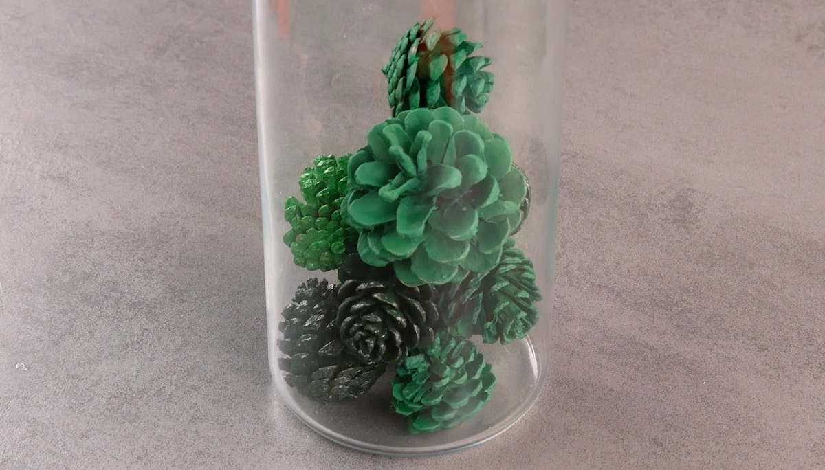 Pflanze im Glas