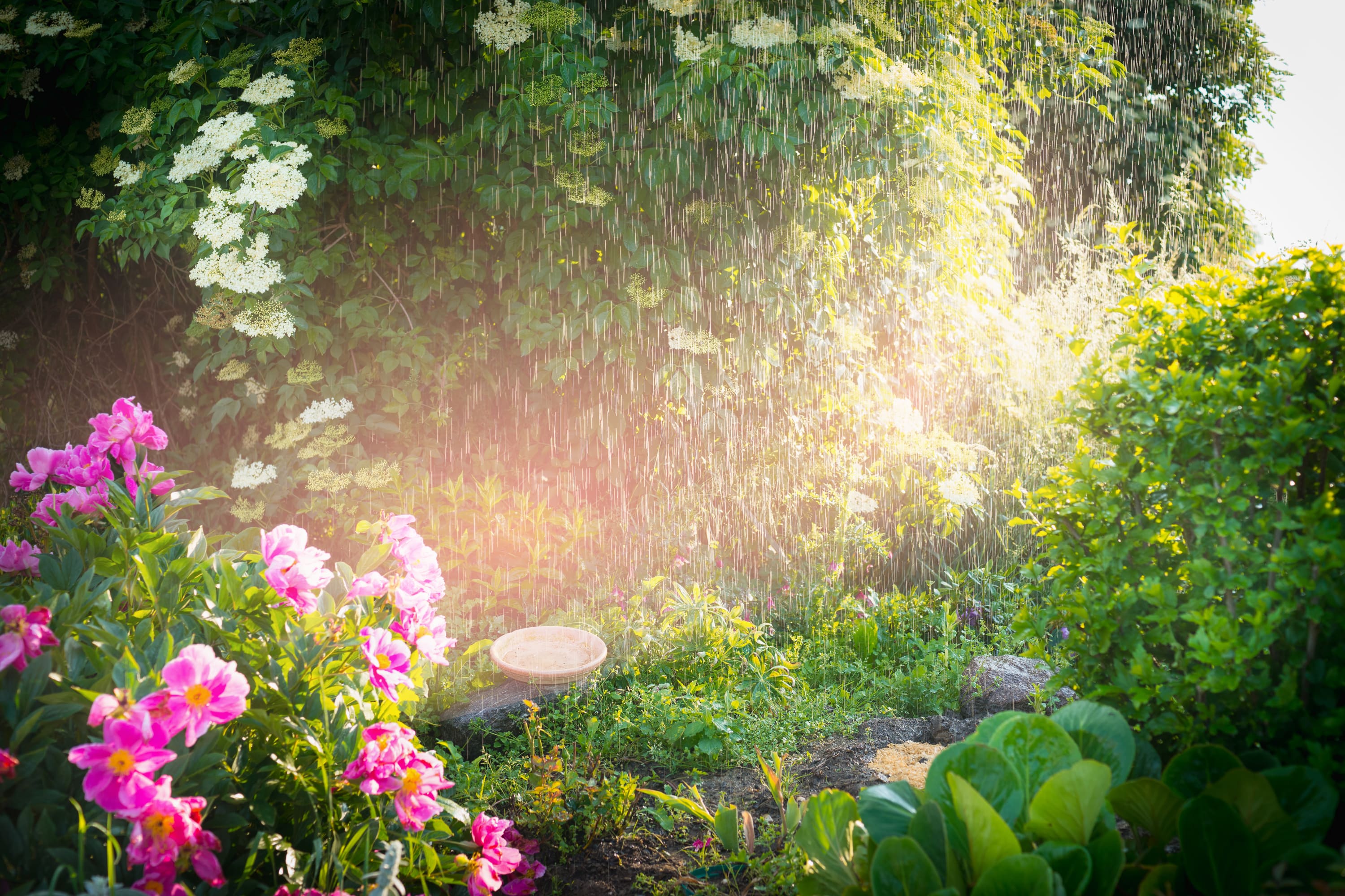 Blick auf einen Garten mit bunten Blumen, in dem es regnet. Nach dem Regen solltest du dennoch kontrollieren, ob du deine Blumen gieÃŸen musst. 