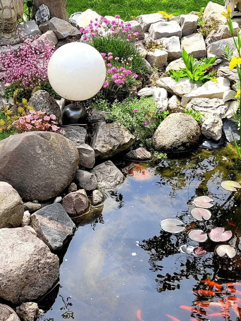 Gartenteich in nur 5 Schritte selbst anlegen So einfach geht’s