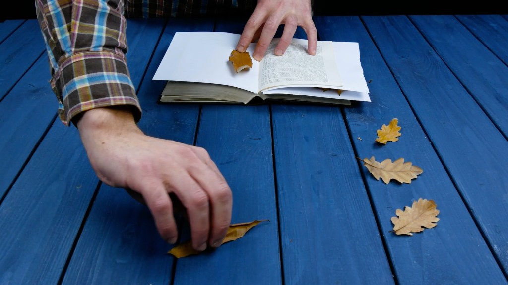 Ein Mann legt Blätter in ein Buch.