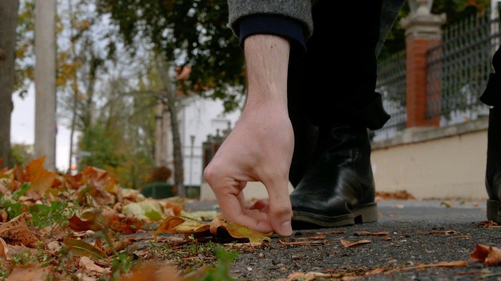 Ein Mann hebt Blätter vom Boden auf.