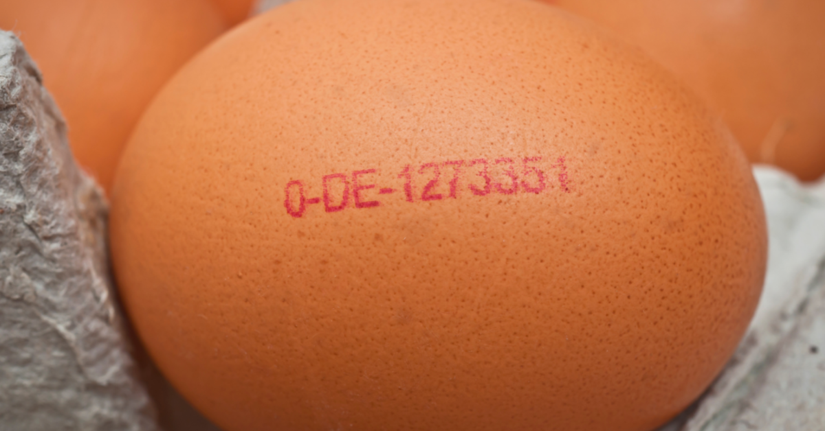 Eiercode: Was steht auf dem Ei und woher kommt es?
