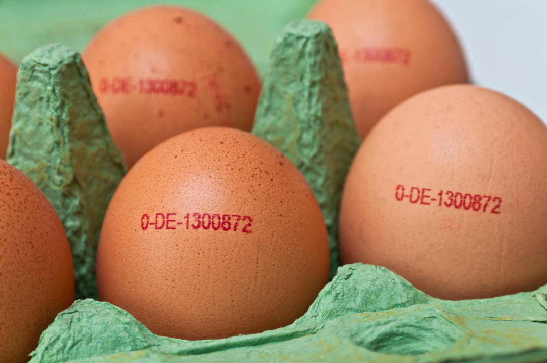 Ein geöffneter Eierkarton. Der Code auf den Eiern lautet: 0-DE-1300872. Doch was bedeutet der Eiercode eigentlich?