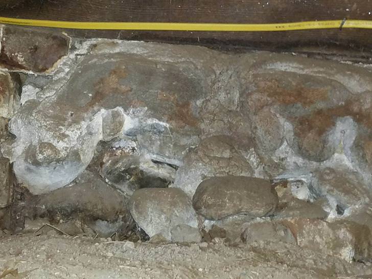 Nashorn im Fundament