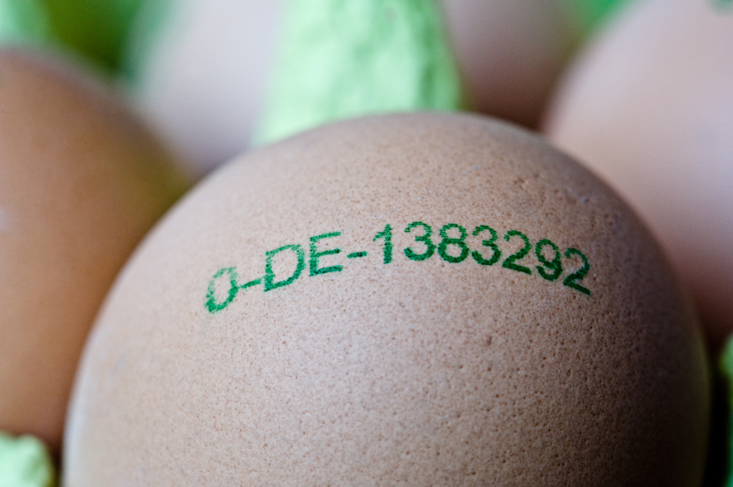 Der Stempel auf dem Ei gibt Auskunft über die Haltungsform und das Herkunftsland. Bei bereits gefärbten Eiern gilt die Kennzeichnungspflicht nicht.
