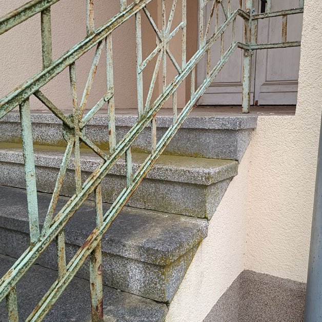 Moosbelag auf einem Treppengeländer außen