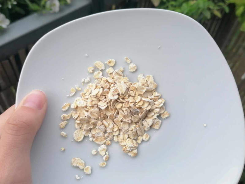 Um Schnecken zu bekämpfen, brauchst du nur einen Teller Haferflocken