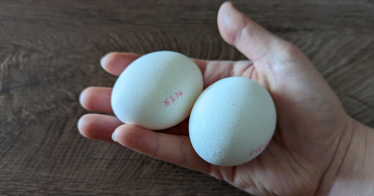 Zwei weiße Eier liegen auf einer Handfläche.
