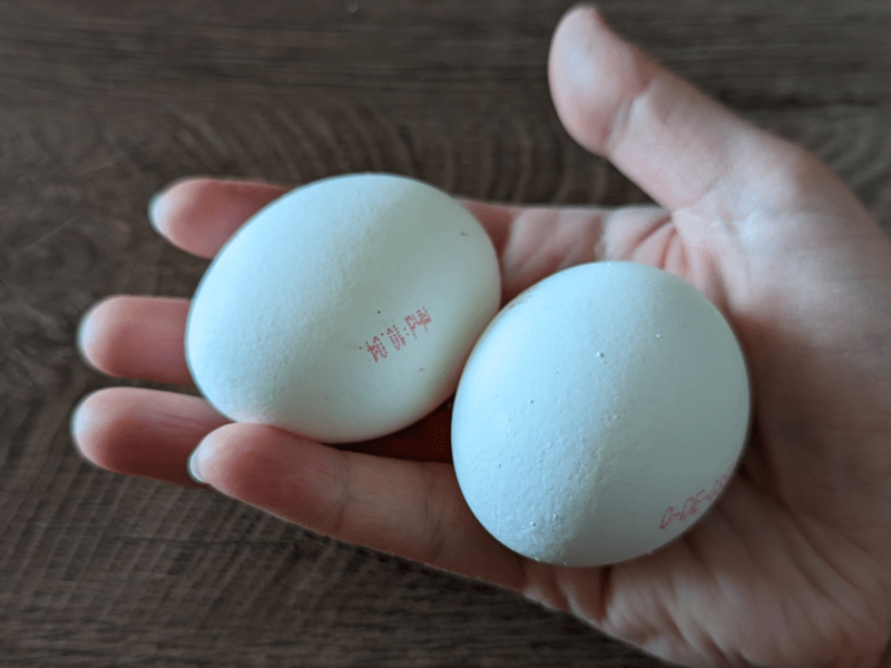 Zwei weiße Eier liegen auf einer Handfläche.