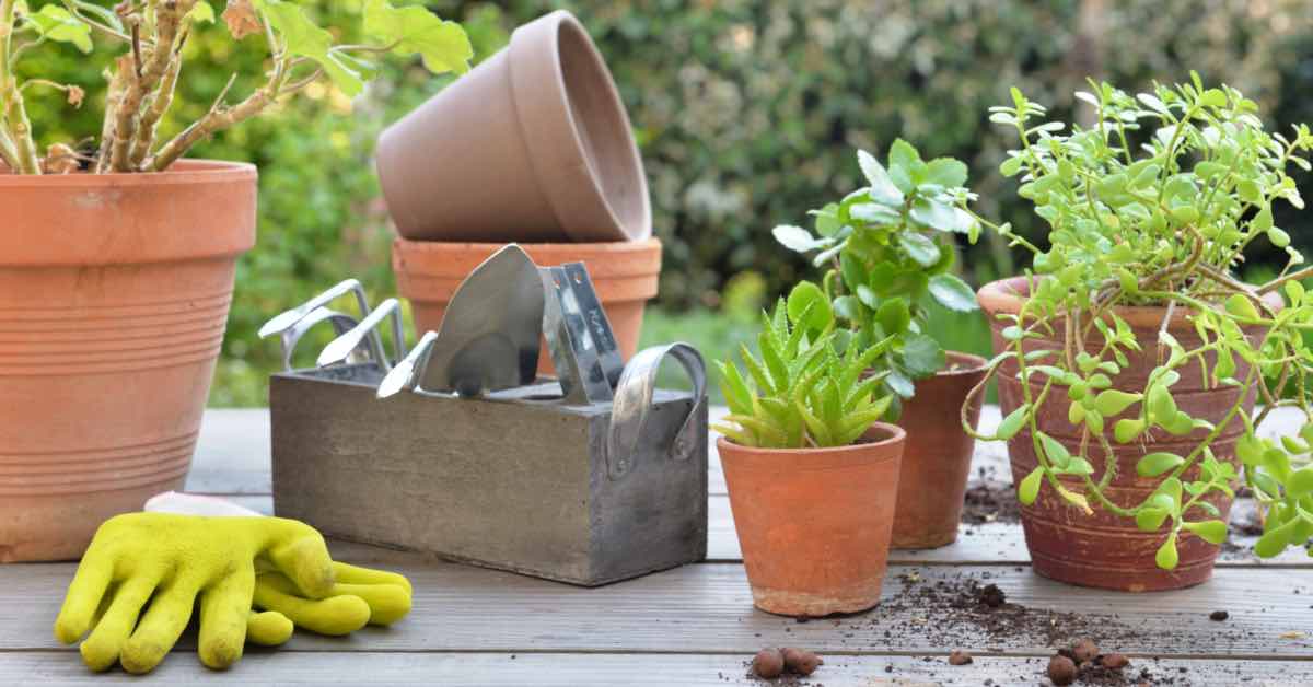 Pflanztisch mit Töpfen und Gartenhandschuhen. Ein pflegeleichter Garten bedeutet auch rückenschonendes Umtopfen.