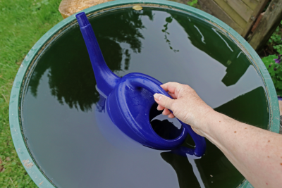 Mückenlarven in der Regentonne vernichten 5 Tipps Genialetricks