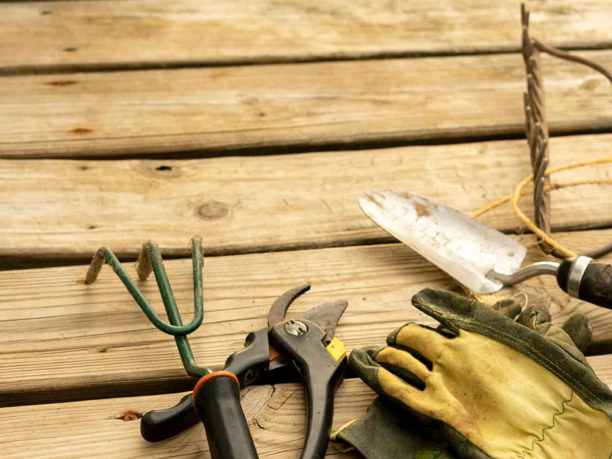 Gartengeräte reinigen: So klappt es mit Kriechöl