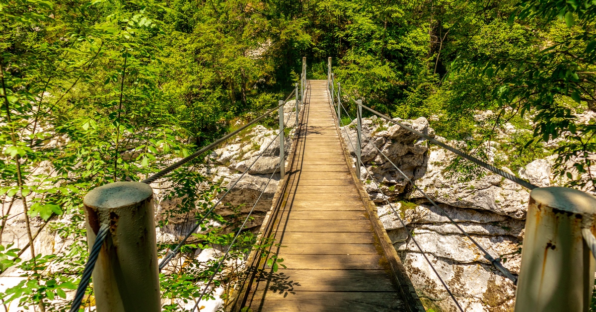 Eine HolzbrÃ¼cke zwischen BÃ¤umen