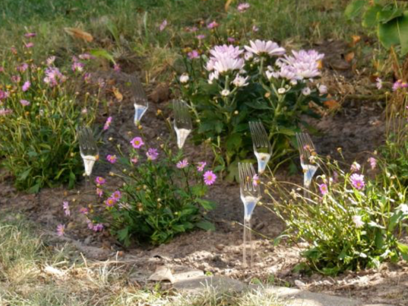 Garten: Dieser Gabel-Trick schützt dein Gemüsebeet vor Tieren!