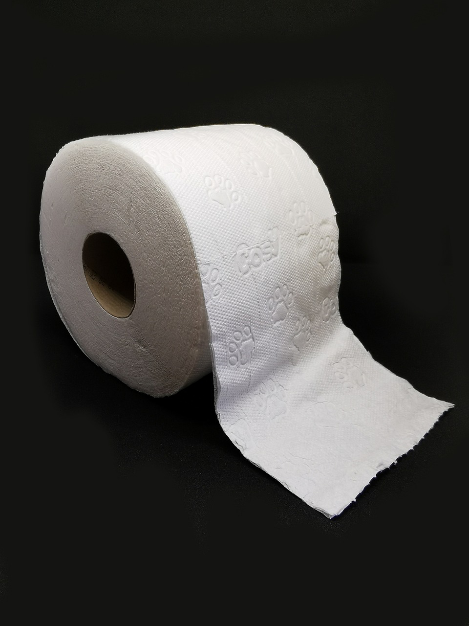 Eine Rolle Toilettenpapier. Waschbares Klopapier, wie z.B. PinkeltÃ¼cher stellen eine umweltfreundliche Alternative dar.