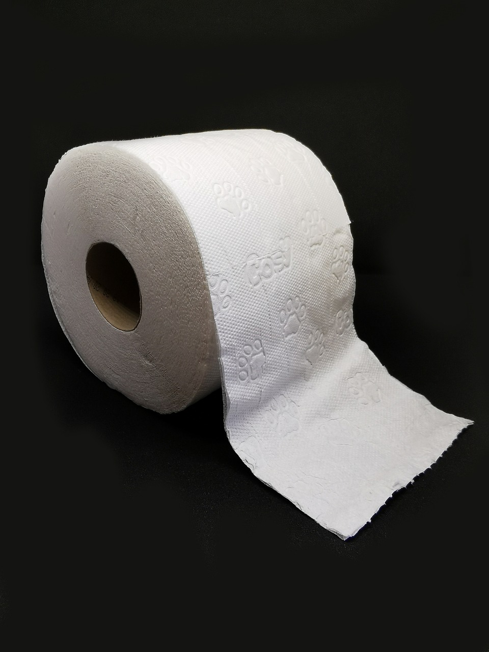 Klopapier Eine Rolle Toilettenpapier. Waschbares Klopapier, wie z.B. Pinkeltücher stellen eine umweltfreundliche Alternative dar.