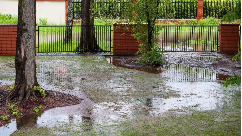 So kannst du deinen Garten bei Unwetter vor Starkregen schützen