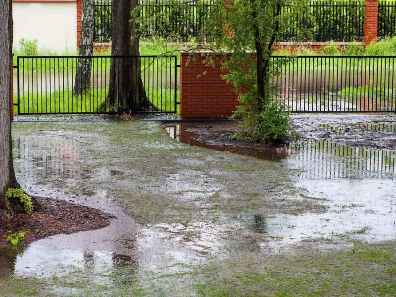 Unwetter: So kannst du deinen Garten vor Starkregen schützen