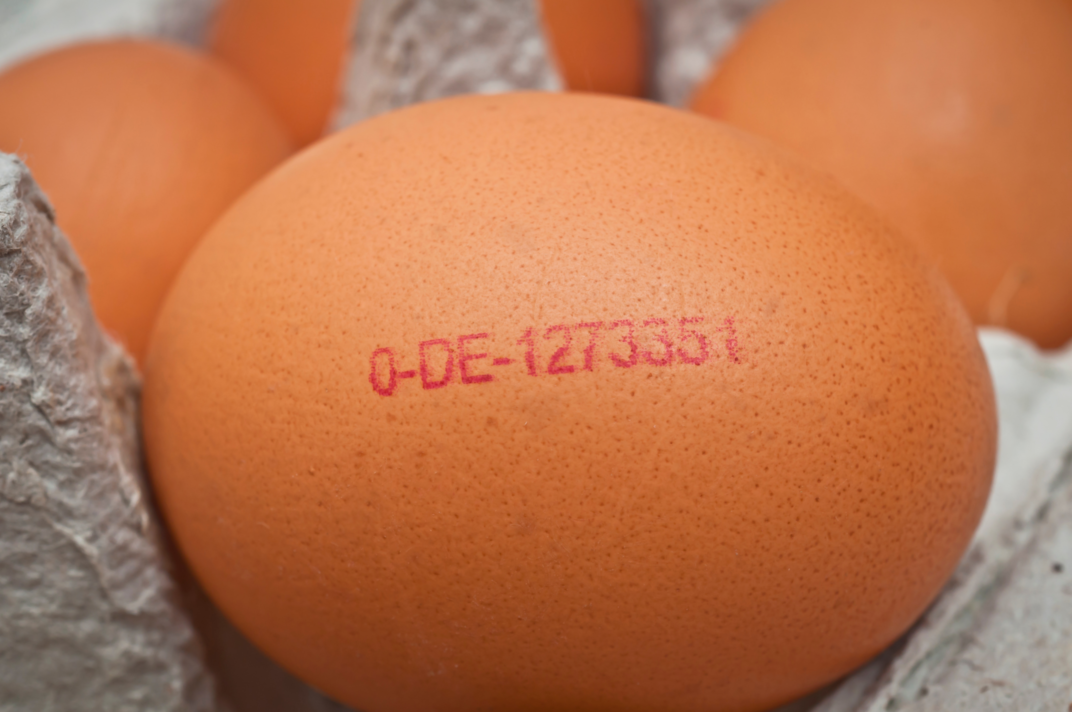 Ein Ei mit dem Eiercode 0-DE-1273351. Dieses Ei stammt aus einem Betrieb mit Bio-Haltung in Brandenburg.