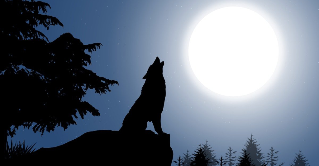 Illustration eines heulenden Wolfes bei Vollmond.