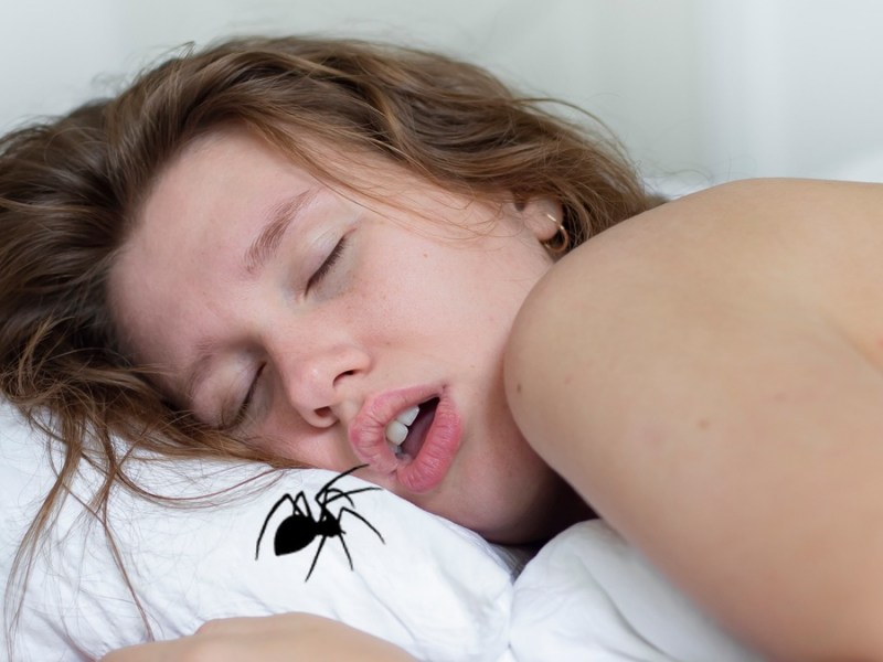 Frau liegt mit offenen Mund im Bett, eine Spinne ist auf dem Kissen.