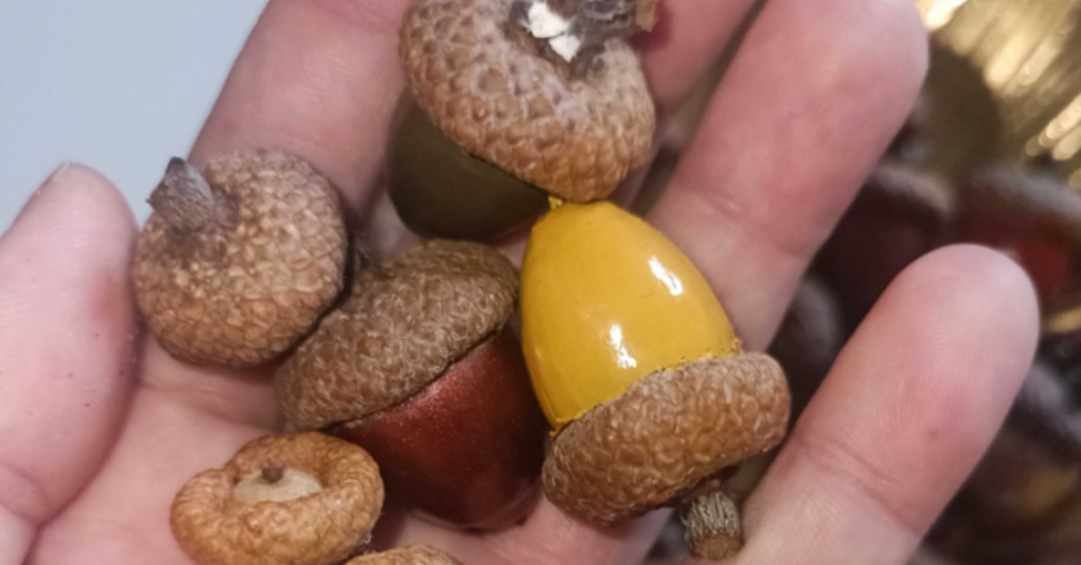 Bunte Eicheln als Herbstdeko
