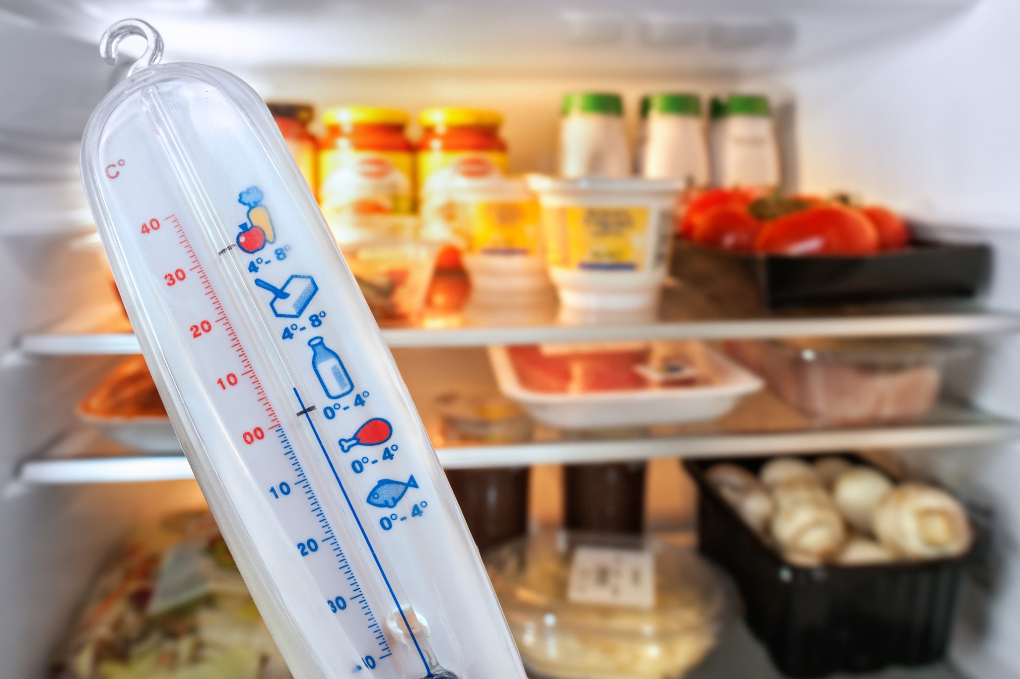 Mithilfe eines Thermometers kannst du die KÃ¼hlschrank-Temperatur im Sommer Ã¼berprÃ¼fen und so die optimale Temperatur herausfinden.