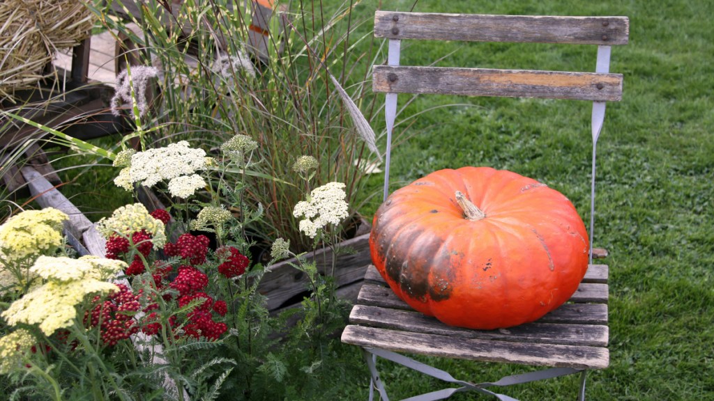10 Deko-Ideen, die Herbststimmung erzeugen