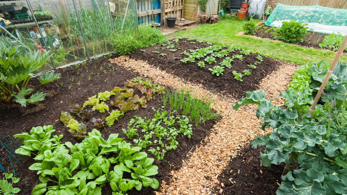No-Dig bed saves you from digging up the garden