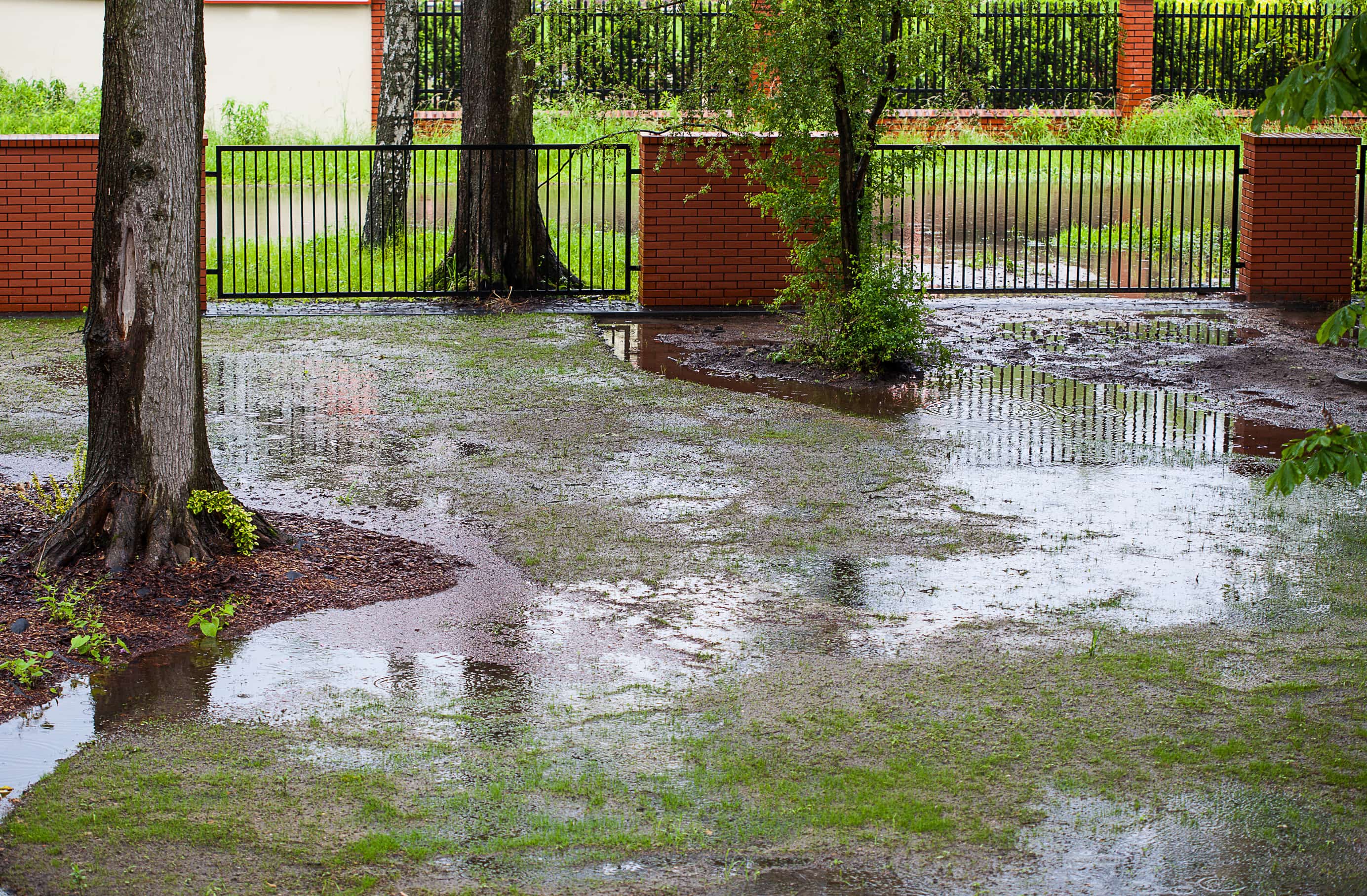 Rasen nach Starkregen Eine Rasenfläche, die nach einem Starkregen total überflutet ist.