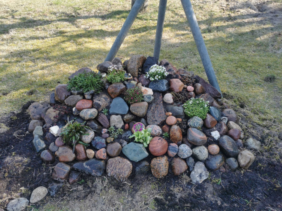 Ein kleiner Steingarten. Hier findest du die besten Tipps zum Anlegen und Bepflanzen.