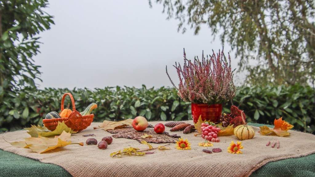 Ein Tisch, der mit Herbstt-Deko aus Blättern, Kürbissen und Nüssen geschmückt ist.
