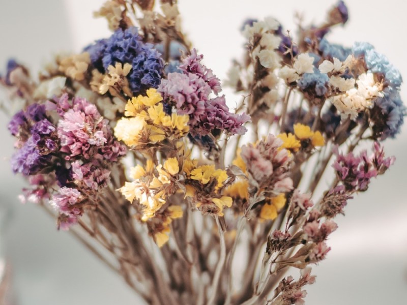 Ein Trockenblumen-Strauss in einer Vase.