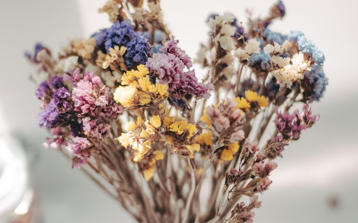 Ein Trockenblumen-Strauss in einer Vase.