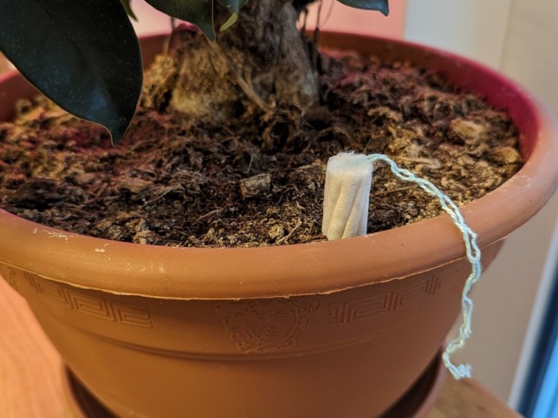 Tampon in Blumenerde