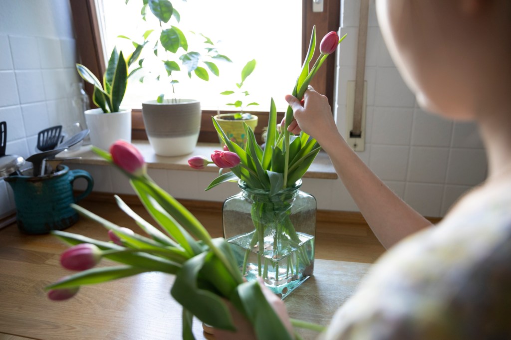 Tulpen in eine Vase mit Wasser stecken.