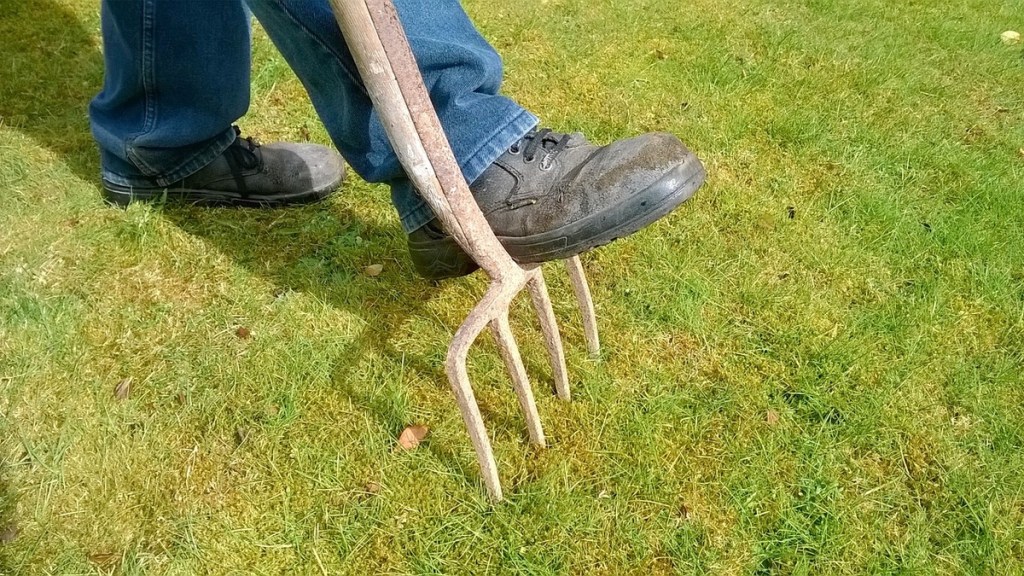 Garten: 5 Dinge, die du jetzt bei der Rasenpflege beachten musst